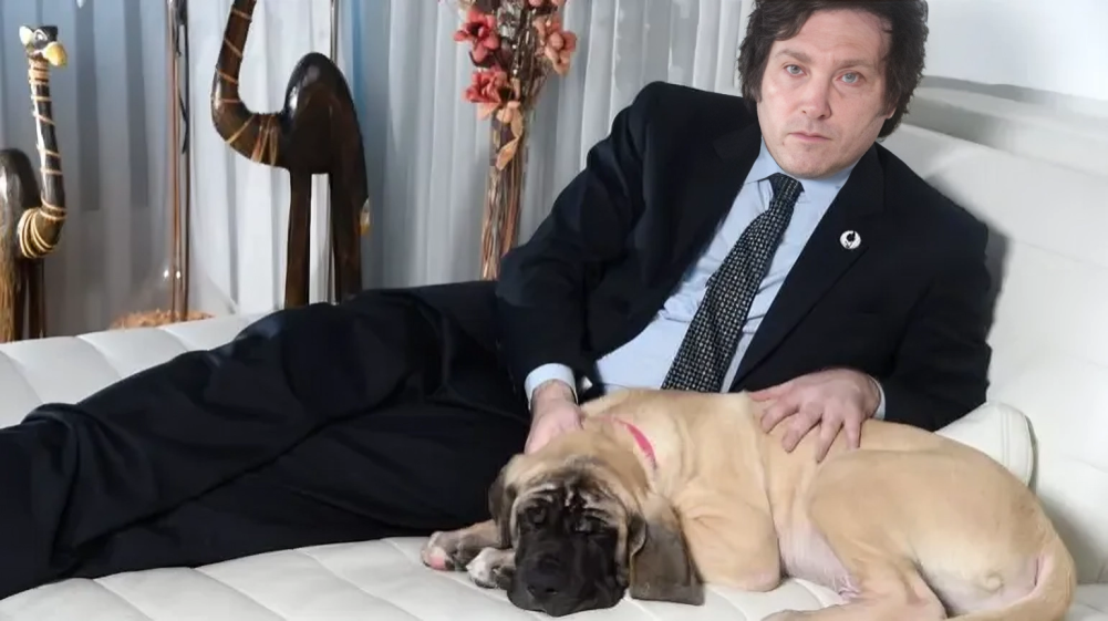 milei impulsa la ley conan inspirada en su perro para penar con carcel el maltrato animal