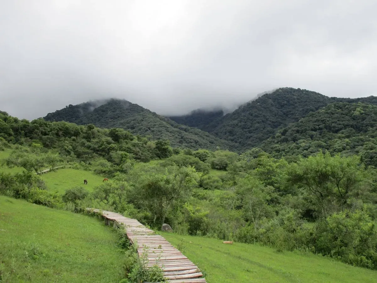 rescataron a dos personas extraviadas en el cerro elefante durante la noche