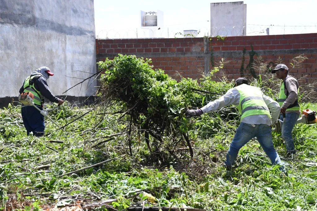 capital la municipalidad intimo a mas de 20 propietarios por terrenos baldios en la ciudad