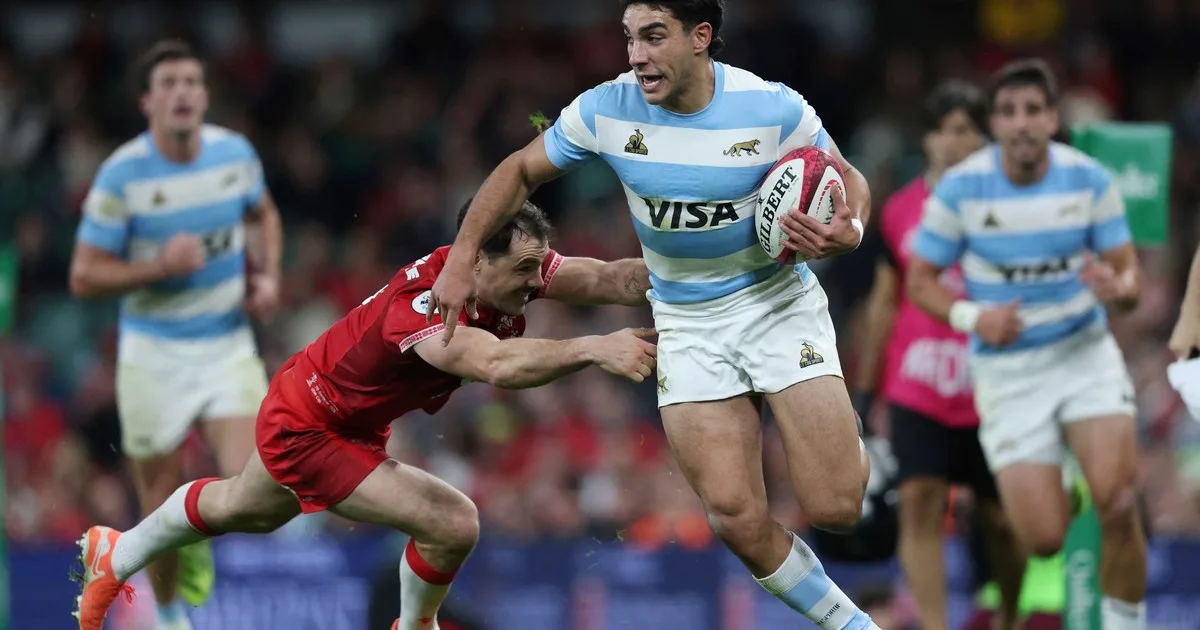 Los Pumas perdieron a Carreras y Gallo antes de la gira europea