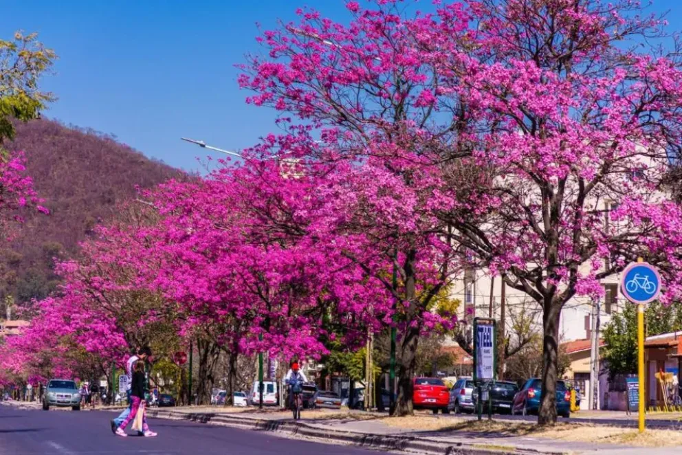 primavera en paz salta celebro sin incidentes graves