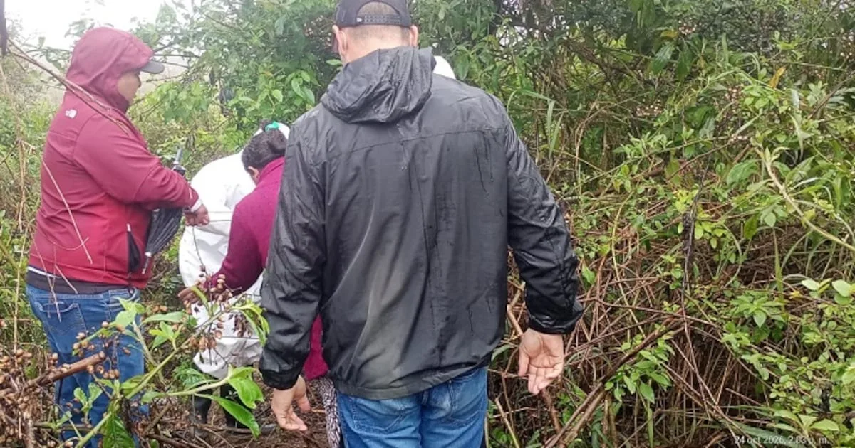 Familiares y personal de Criminalística entre el monte, bajo la lluvia, en el lugar de Metán donde fue hallado el cuerpo de una mujer