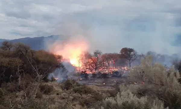 el incendio en cafayate ya arraso cerca de 200 hectareas y temen que el operativo se extienda por semanas