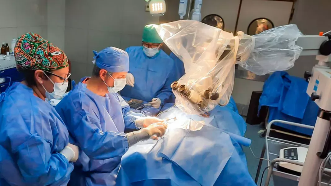 veintisiete pacientes saltenos recuperaron audicion gracias a implantes en hospitales publicos