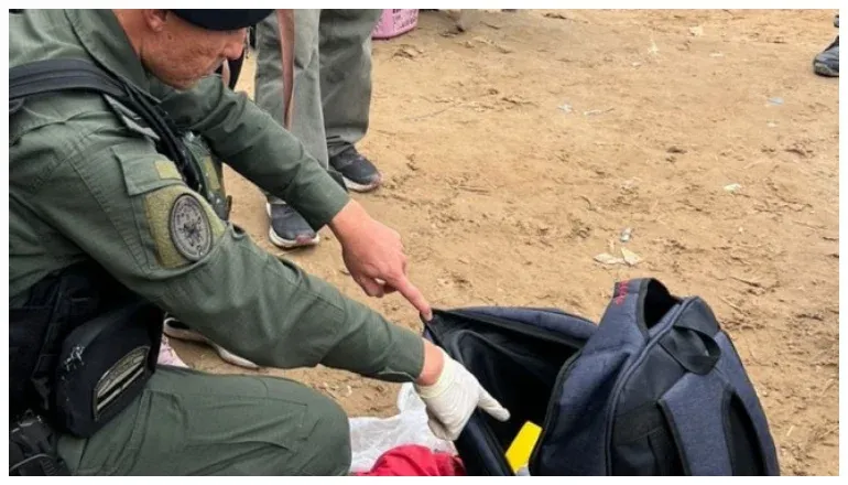 gendarmeria secuestro mas de 52 kilos de marihuana y 345 kilos de hojas de coca en aguas blancas