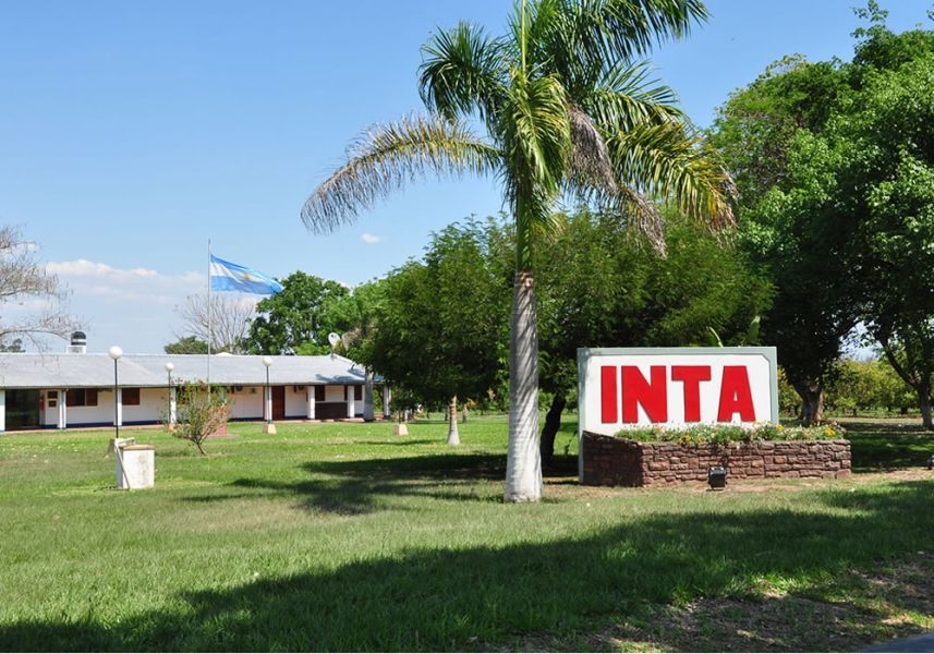 el gobierno le retira al inta tierras productivas en salta y avanza con recortes en inmuebles estatales