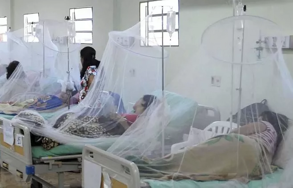 alerta dengue se confirmaron 427 nuevos casos en la provincia