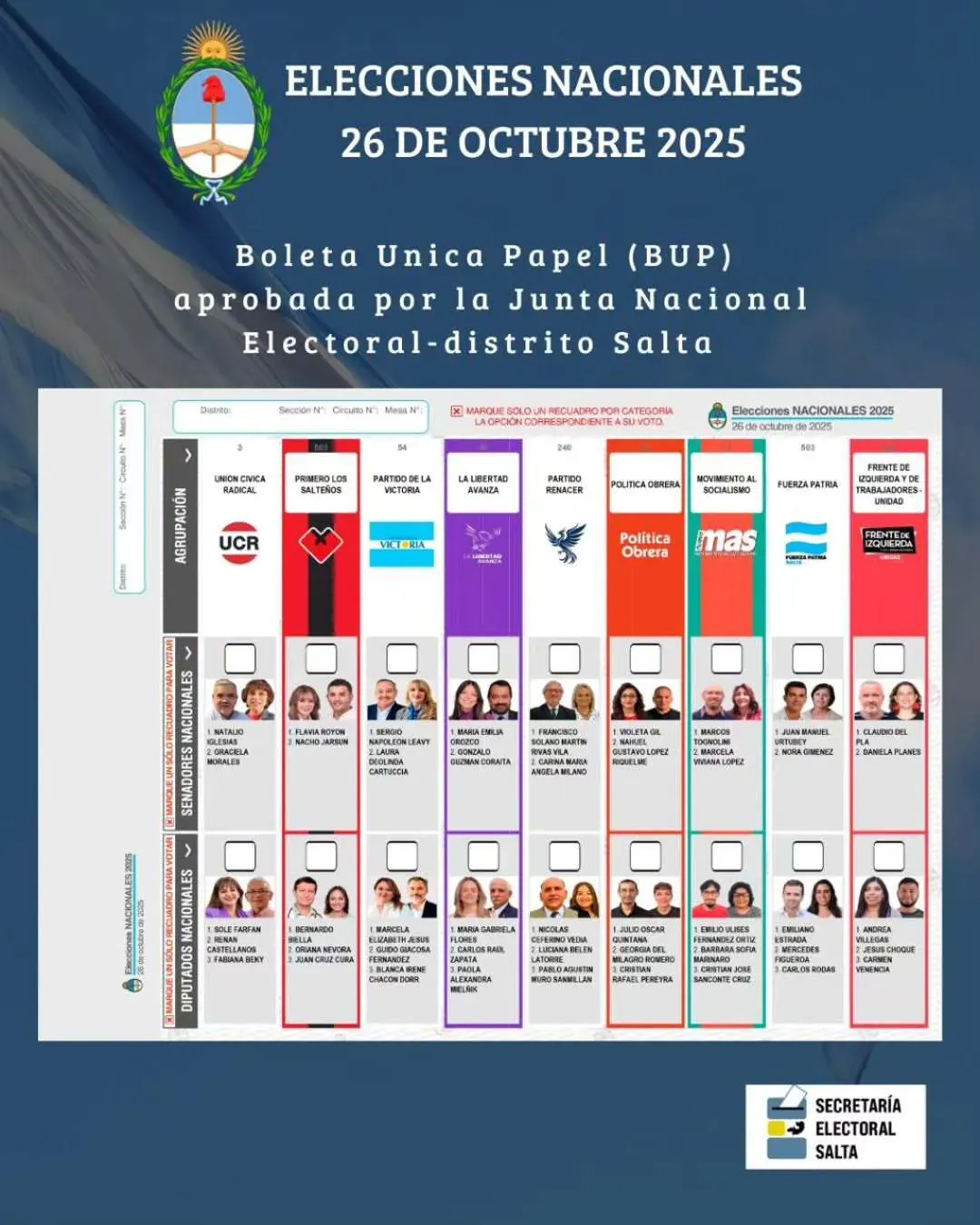 boleta unica papel salta ya tiene el modelo definitivo para las elecciones nacionales