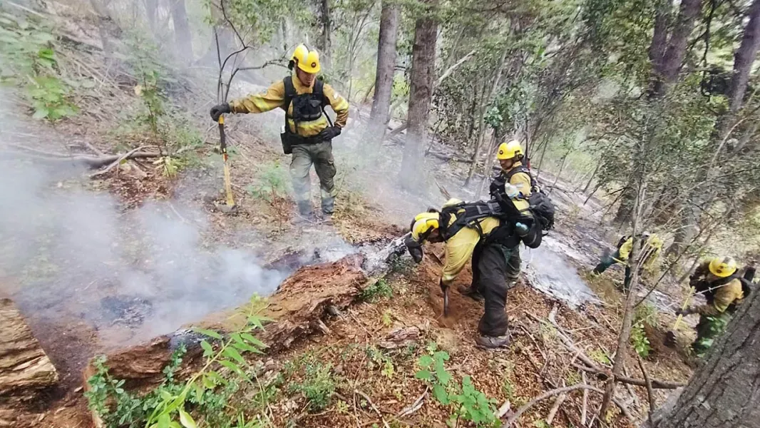 salta en la primera linea del fuego brigadistas continuan combatiendo incendios en chubut
