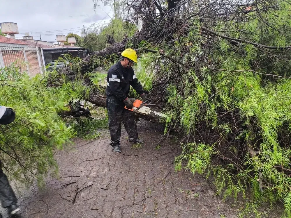 las lluvias dejaron 10 incidentes en salta arboles postes y calles anegadas