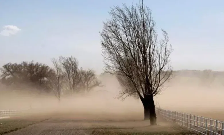 alerta amarilla en salta rafagas de hasta 120 km h afectaran la puna este jueves