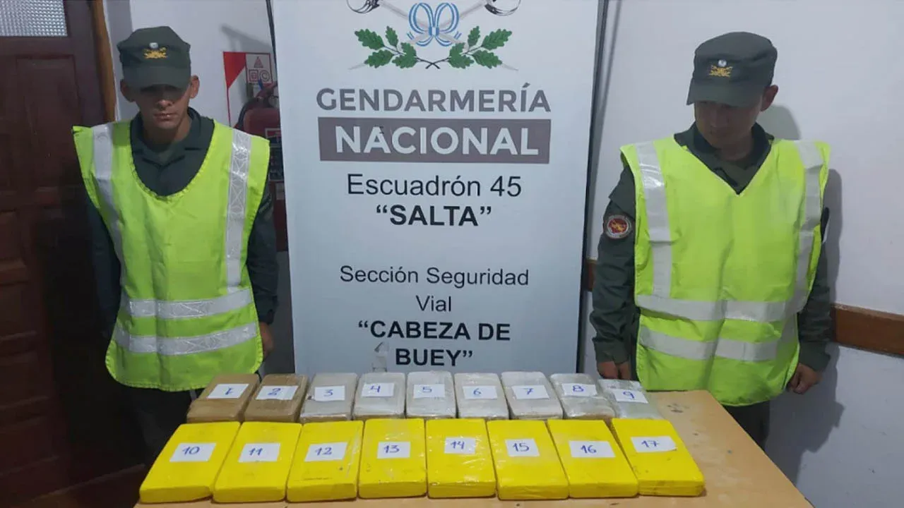 salta incautan mas de 18 kilos de cocaina en dos operativos sobre las rutas 9 y 34