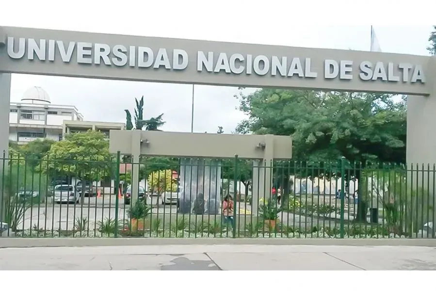 la unsa anuncio un paro para este viernes por el veto de milei
