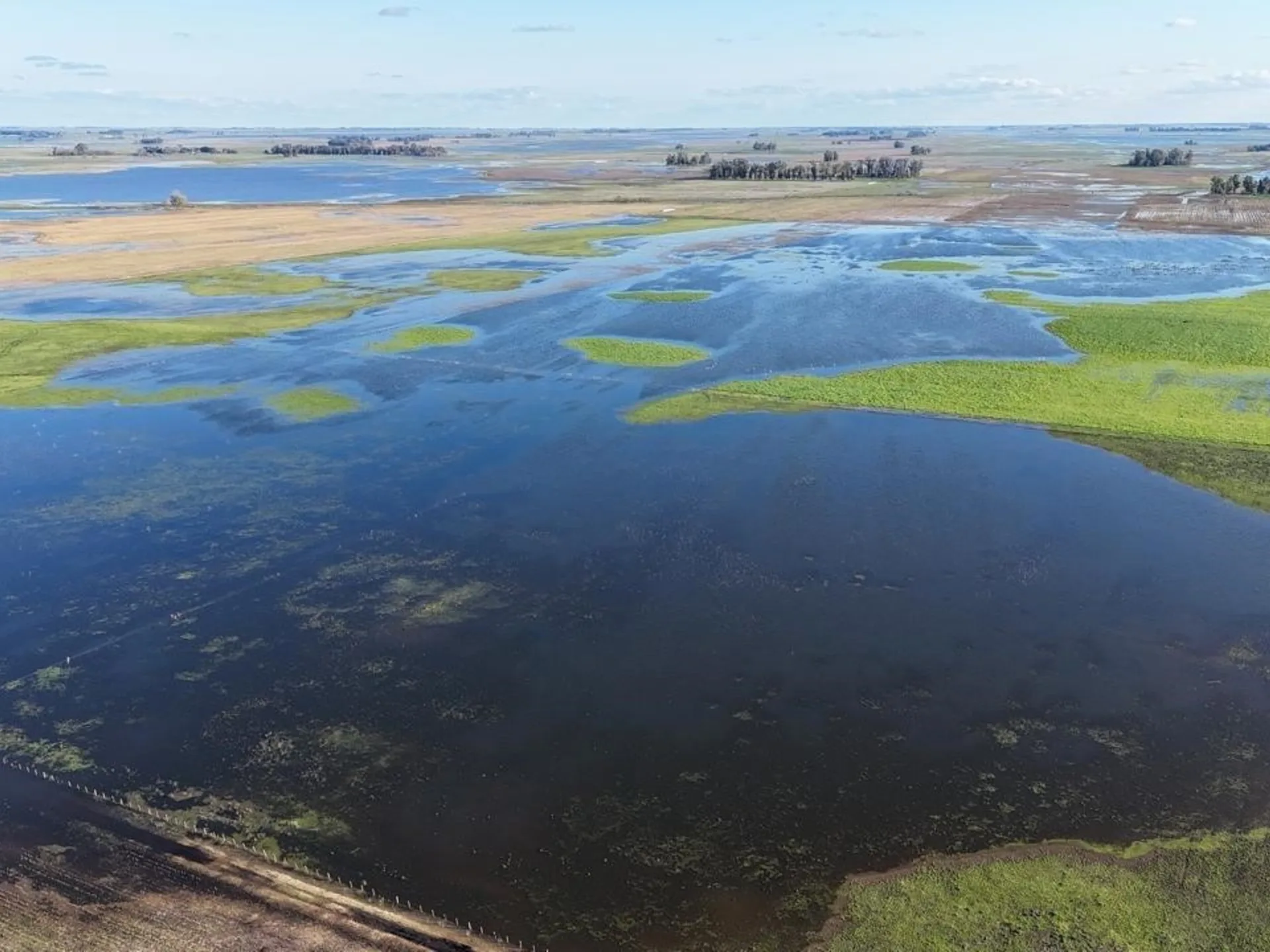 Nación declaró la emergencia agropecuaria en Nueve de Julio y Necochea