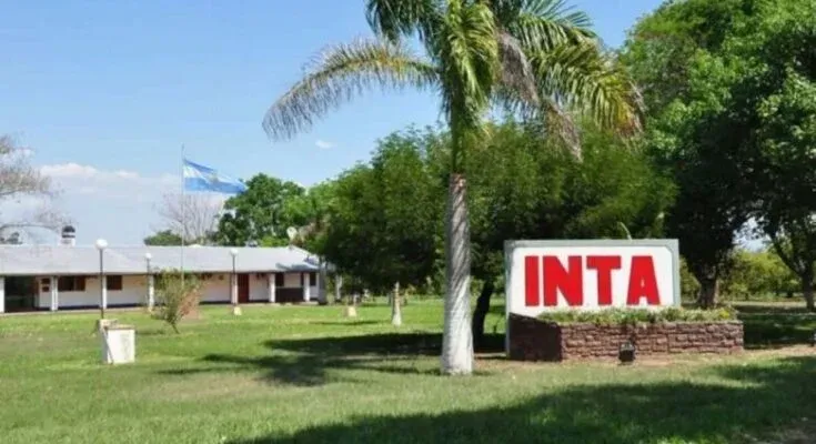 oficializaron los cambios en el inta eliminaron la direccion nacional y el consejo directivo