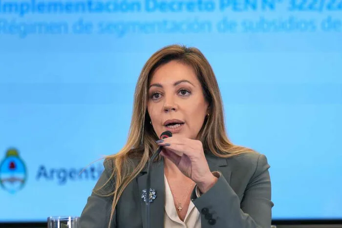 Royón advirtió que faltan obras para que el gas llegue al Norte