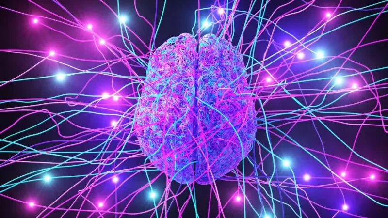 Premio Nobel de Medicina 2026 para los creadores de la optogenética, la técnica que nació de una microalga