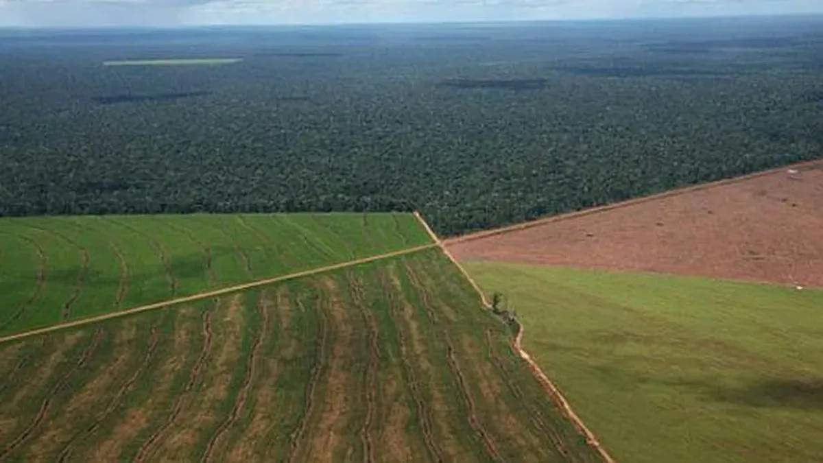 Qué límites rigen hoy para la venta de campos a extranjeros tras el fallo de la Corte