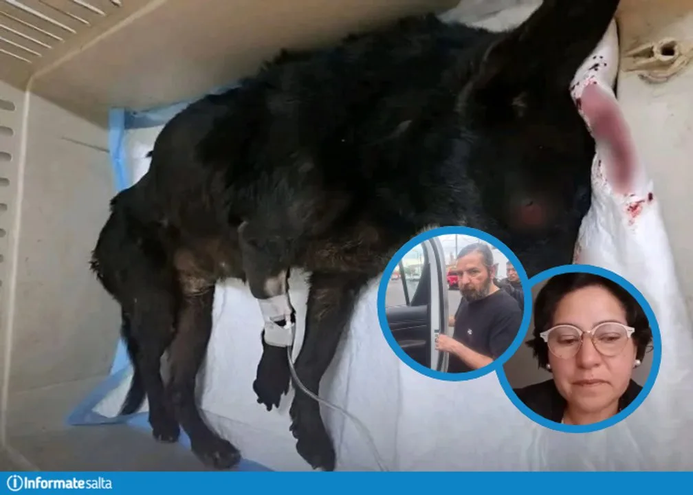 Qué significa ser inimputable y por qué el hombre que atacó a "Negrita" quedó internado en el Ragone