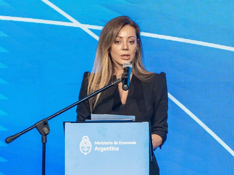 flavia royon el senado tiene que tener representantes genuinamente provinciales