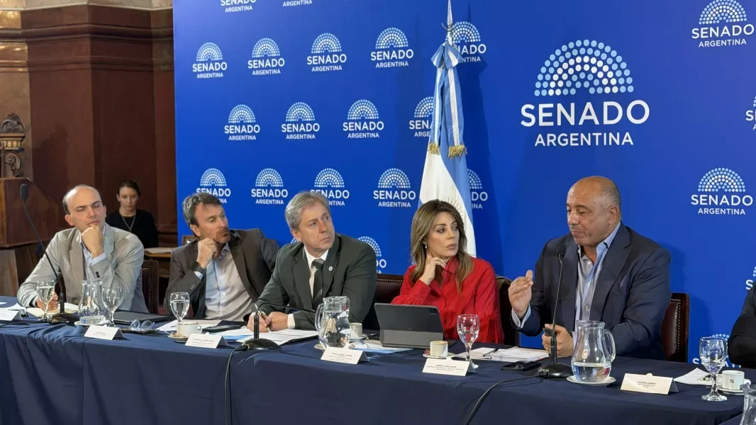 Salta propuso en el Senado un régimen que complemente la coparticipación