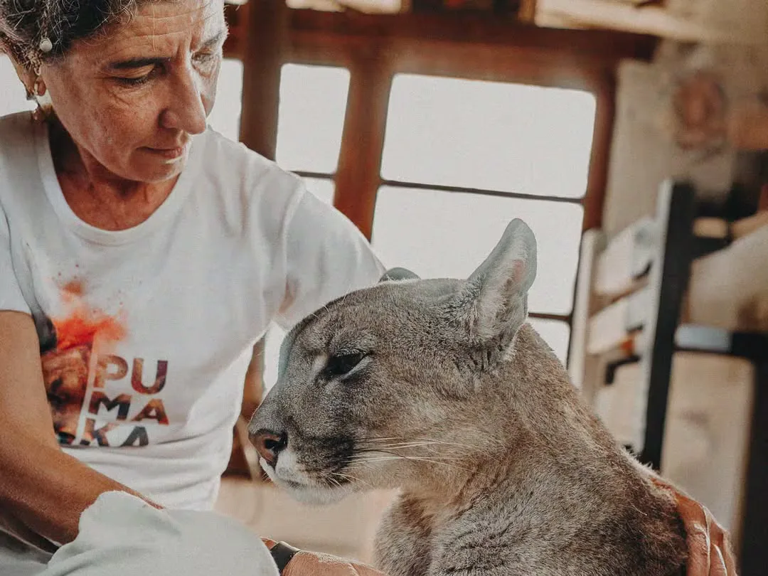 Se prendió fuego para salvar a sus pumas y hoy dedica su vida a cuidarlos