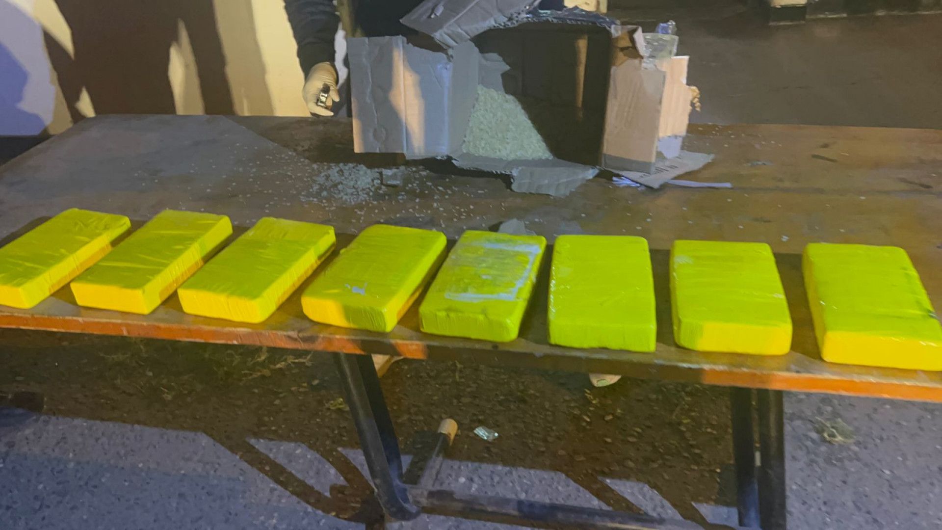 pichanal cosmos un perro antinarcoticos detecto 8 kilos de cocaina