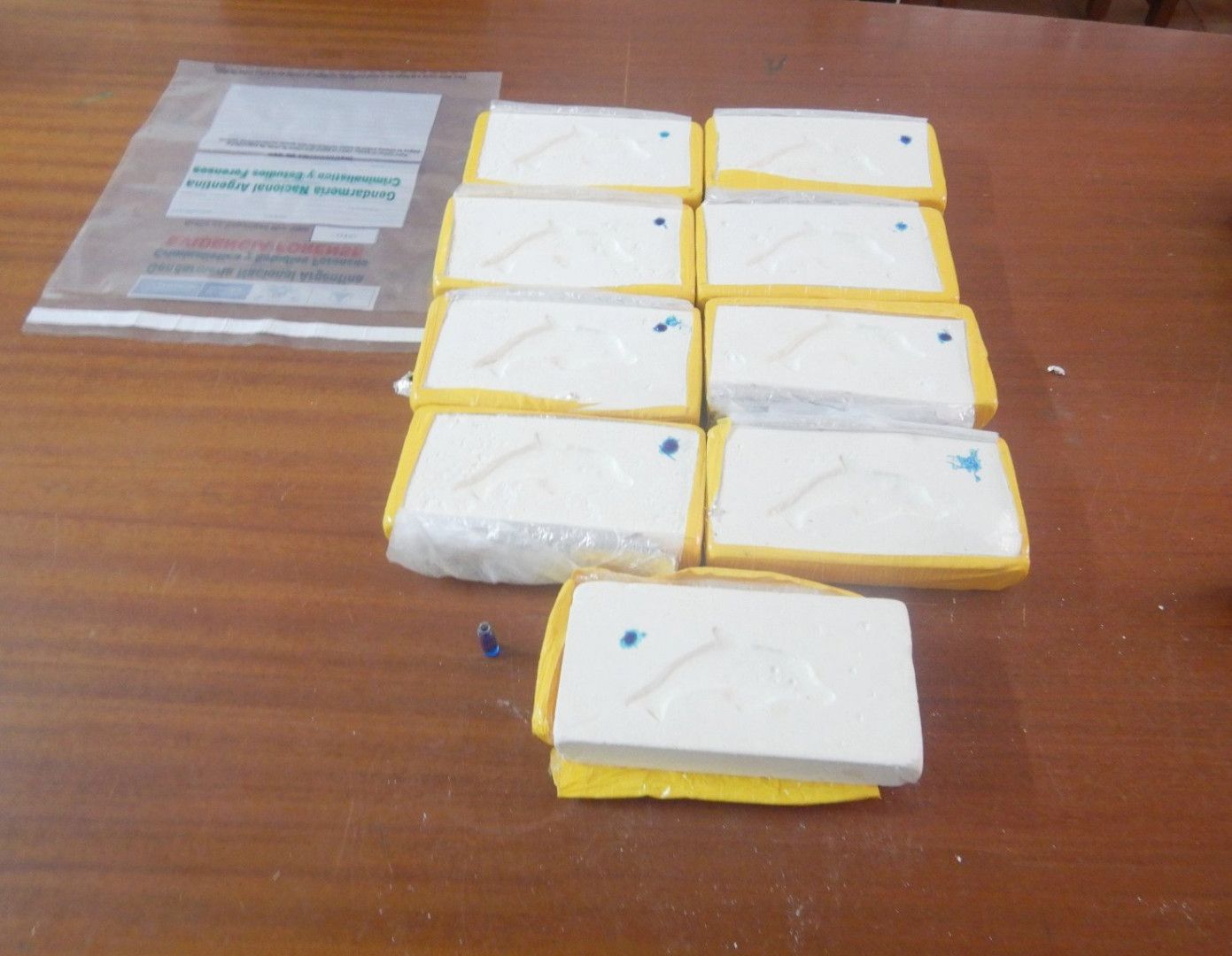 salvador mazza una ciudadana de nacionalidad boliviana intento ingresar al pais con mas de 9 kilos de cocaina