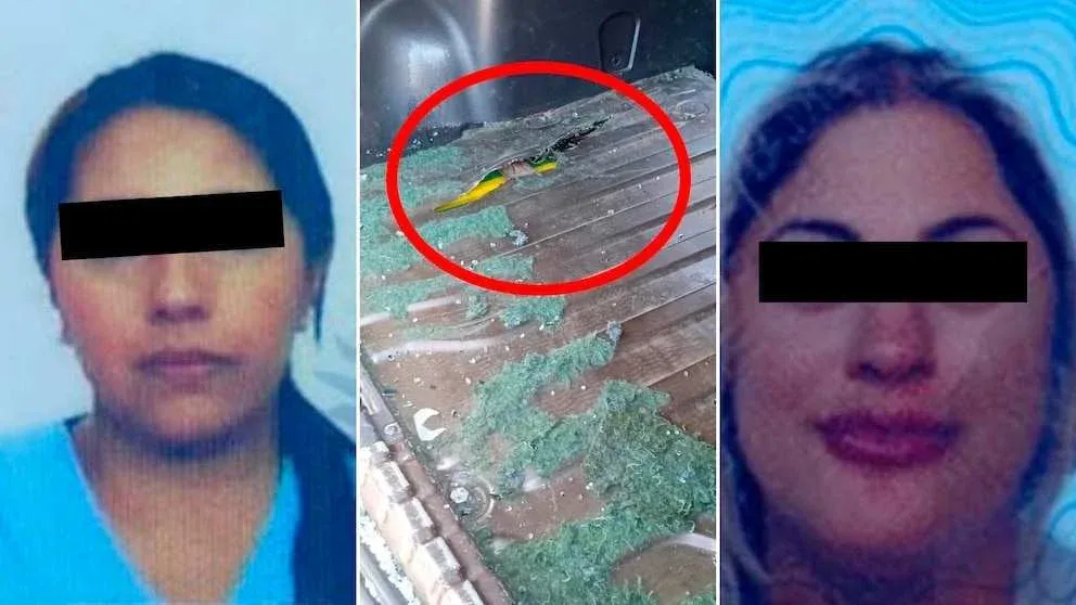tartagal una medica de gendarmeria y una cosmetologa fueron detenidas con 70 kilos de cocaina