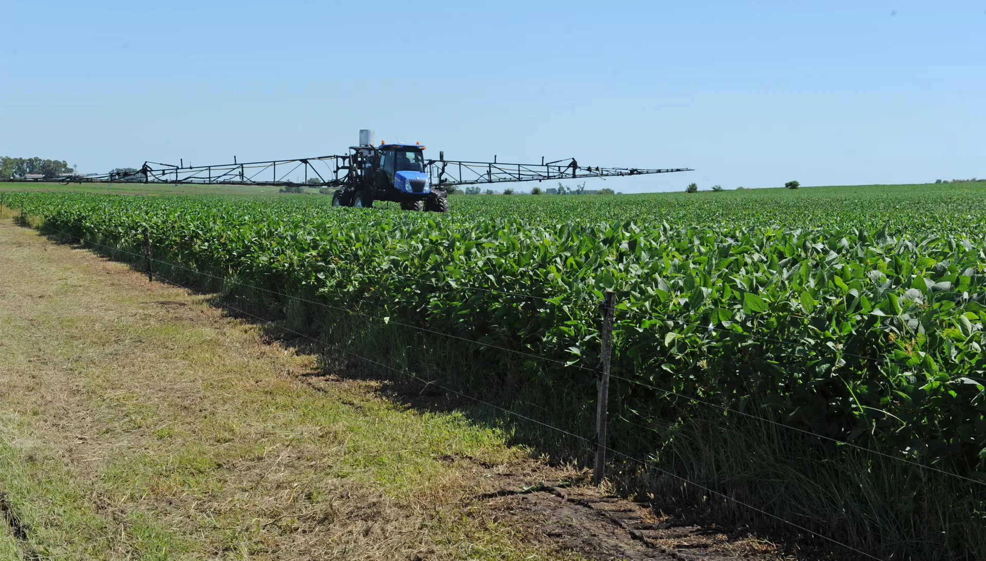 Uruguay recuperó exportaciones en septiembre, pero la soja todavía paga la sequía