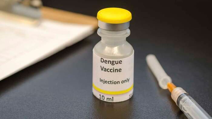 las primeras vacunas contra el dengue seran enviadas al norte salteno
