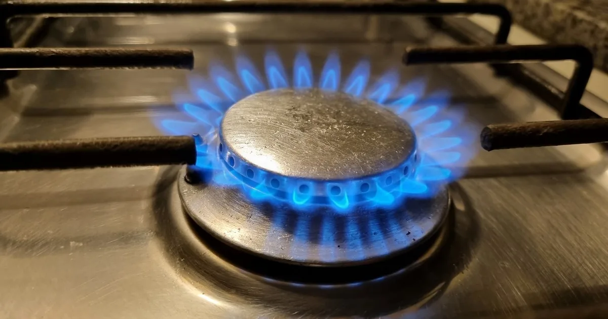 Zona Fría: el descuento en el gas deja de ser automático y el recorte alcanza a zonas de Salta